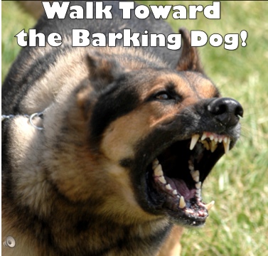 WALK TOWARD THE BARKING DOG